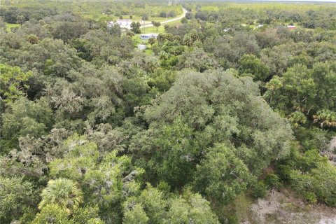 Terrain à vendre à Okeechobee, Floride № 1353286 - photo 8