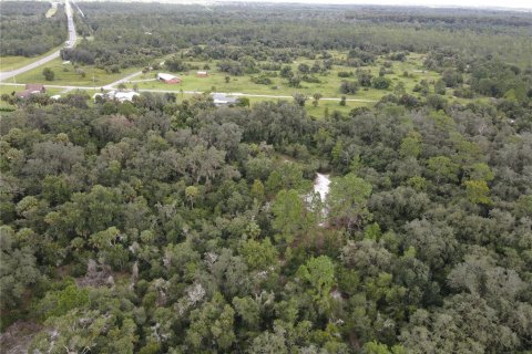 Terrain à vendre à Okeechobee, Floride № 1353286 - photo 5