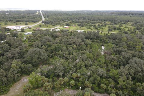 Land in Okeechobee, Florida № 1353286 - photo 6