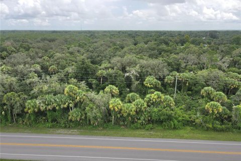 Terrain à vendre à Okeechobee, Floride № 1353286 - photo 2