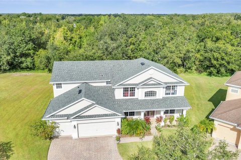 Villa ou maison à vendre à Kissimmee, Floride: 5 chambres, 383.97 m2 № 1336018 - photo 11