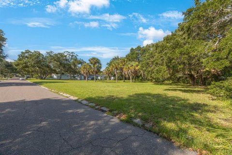 Land in Largo, Florida № 1343363 - photo 24