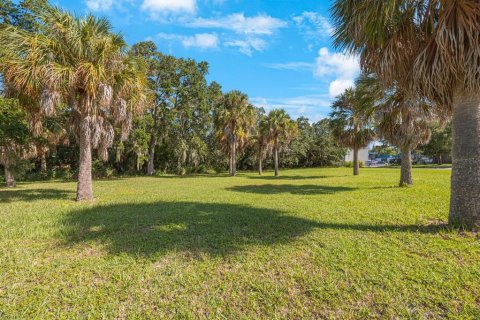 Land in Largo, Florida № 1343363 - photo 28