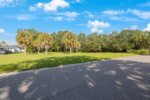 Land in Largo, Florida № 1343363 - photo 23