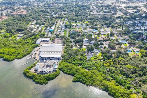 Land in Largo, Florida № 1343363 - photo 18