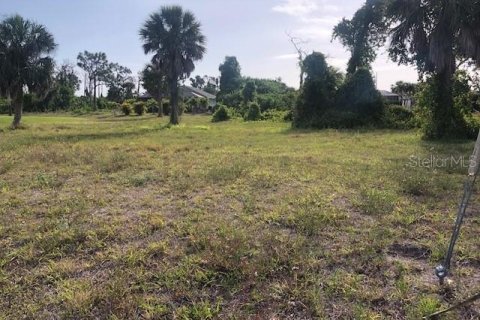 Land in Rotonda, Florida № 1149420 - photo 2