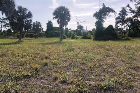 Terreno en venta en Rotonda, Florida № 1149420 - foto 1