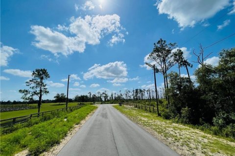 Land in Sebring, Florida № 1250662 - photo 13