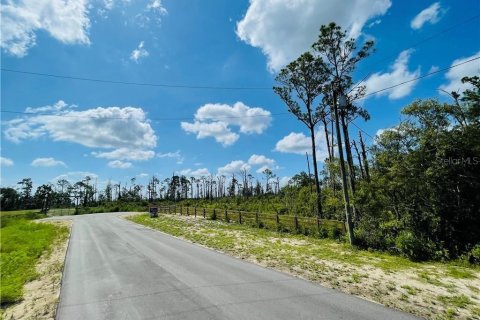 Land in Sebring, Florida № 1250662 - photo 14