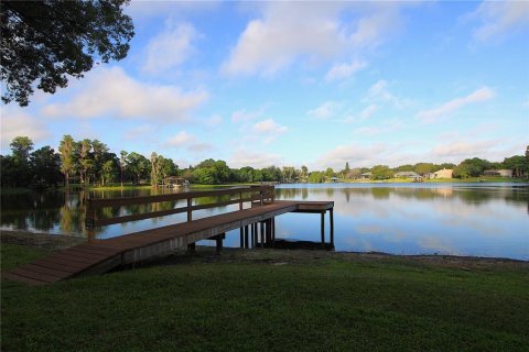 Land in Odessa, Florida № 1252969 - photo 12