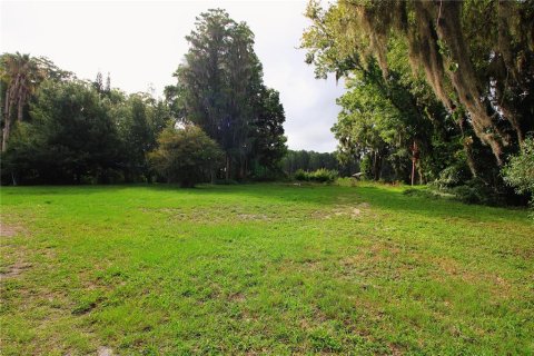 Terreno en venta en Odessa, Florida № 1252969 - foto 3