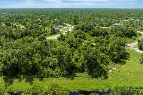 Land in North Port, Florida № 1386542 - photo 6