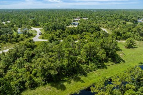 Land in North Port, Florida № 1386542 - photo 5