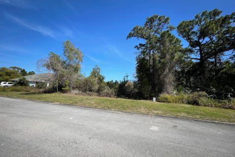 Terrain à vendre à Vero Beach, Floride № 1227630 - photo 4