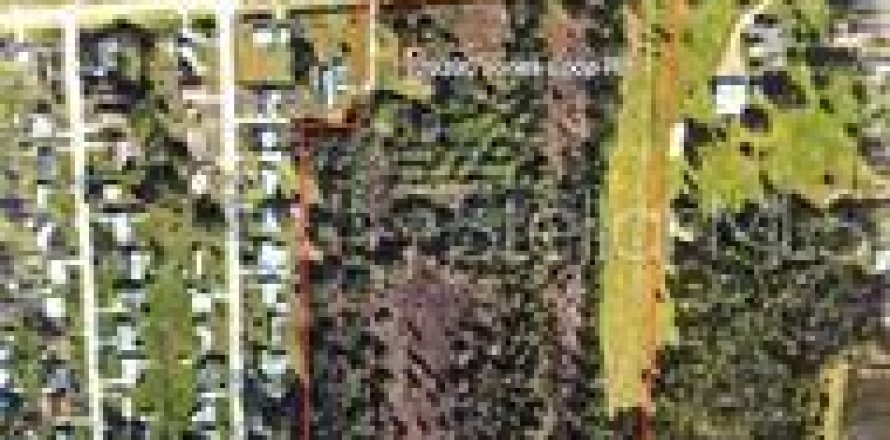 Land in Punta Gorda, Florida № 708609