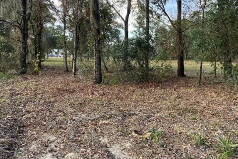 Terreno en venta en Ocala, Florida № 1282950 - foto 3