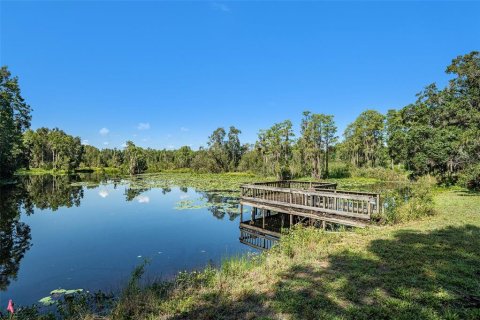 Land in Tampa, Florida № 1315097 - photo 14