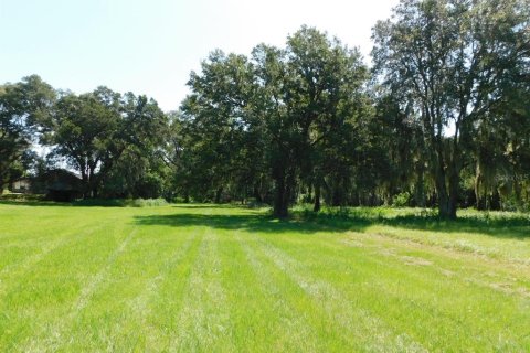 Commercial property in Dade City, Florida 107.02 sq.m. № 585483 - photo 29