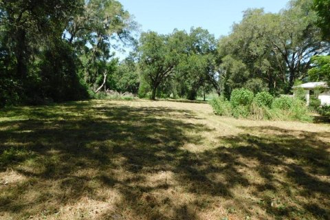 Commercial property in Dade City, Florida 107.02 sq.m. № 585483 - photo 21