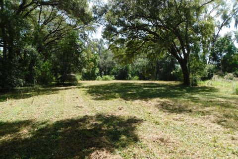 Commercial property in Dade City, Florida 107.02 sq.m. № 585483 - photo 19