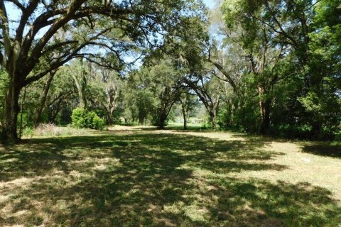 Commercial property in Dade City, Florida 107.02 sq.m. № 585483 - photo 28