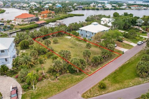 Land in Punta Gorda, Florida № 1082666 - photo 2