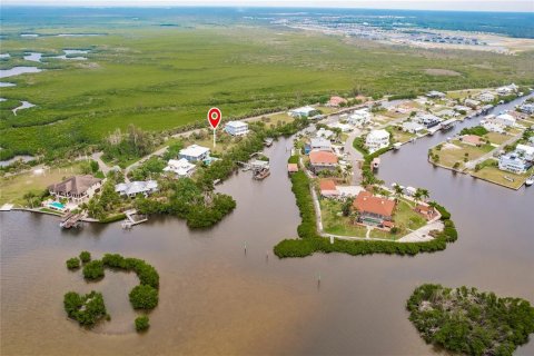 Terrain à vendre à Punta Gorda, Floride № 1082666 - photo 26