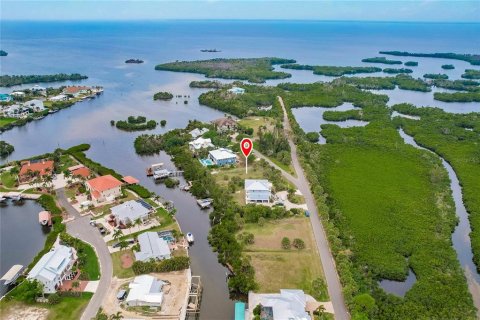 Terrain à vendre à Punta Gorda, Floride № 1082666 - photo 21