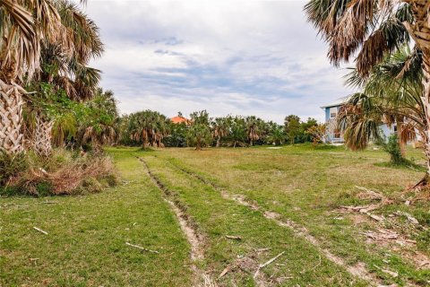 Terrain à vendre à Punta Gorda, Floride № 1082666 - photo 7