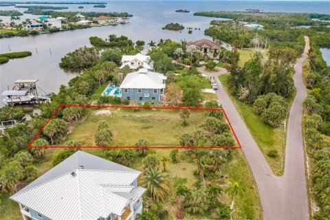 Terreno en venta en Punta Gorda, Florida № 1082666 - foto 1