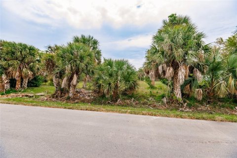 Terrain à vendre à Punta Gorda, Floride № 1082666 - photo 6