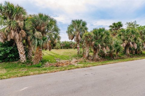 Terrain à vendre à Punta Gorda, Floride № 1082666 - photo 5