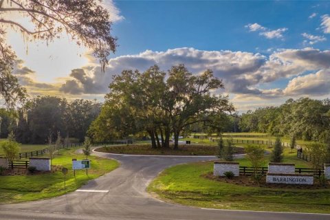 Terreno en venta en Newberry, Florida № 1427641 - foto 2