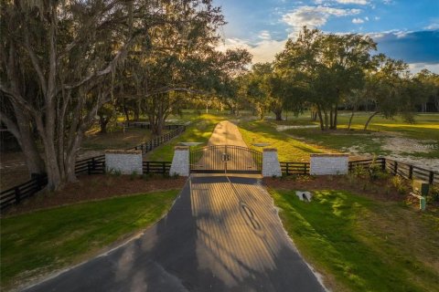 Terreno en venta en Newberry, Florida № 1427641 - foto 1