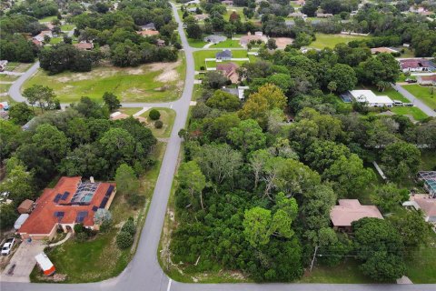 Land in Spring Hill, Florida № 1358398 - photo 6