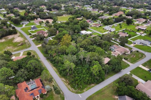 Land in Spring Hill, Florida № 1358398 - photo 7