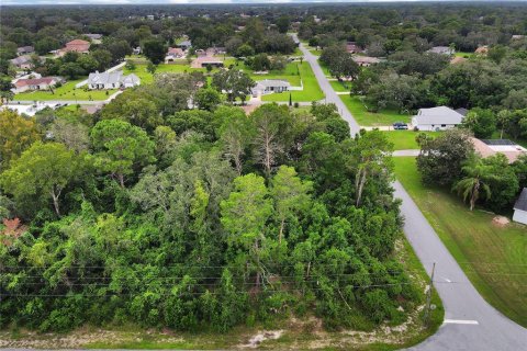 Terrain à vendre à Spring Hill, Floride № 1358398 - photo 3