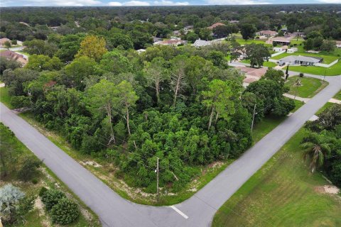 Land in Spring Hill, Florida № 1358398 - photo 1