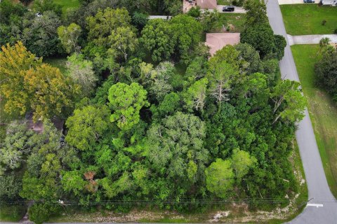 Terrain à vendre à Spring Hill, Floride № 1358398 - photo 5