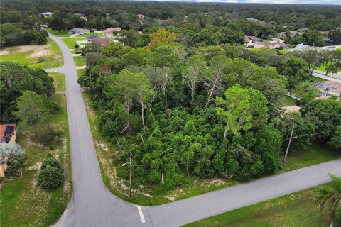 Terreno en venta en Spring Hill, Florida № 1358398 - foto 2