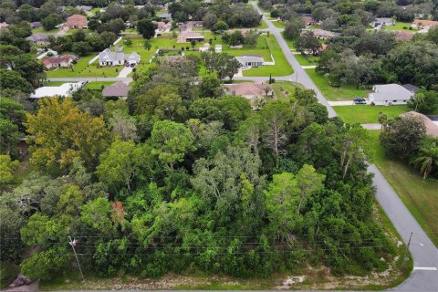 Land in Spring Hill, Florida № 1358398 - photo 4