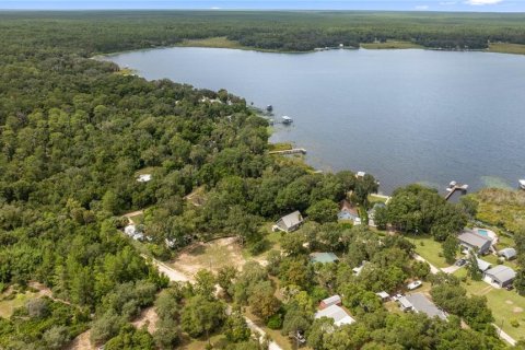 Land in Salt Springs, Florida № 1357664 - photo 2