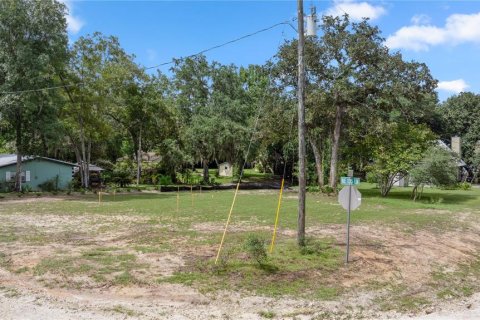 Land in Salt Springs, Florida № 1357664 - photo 11