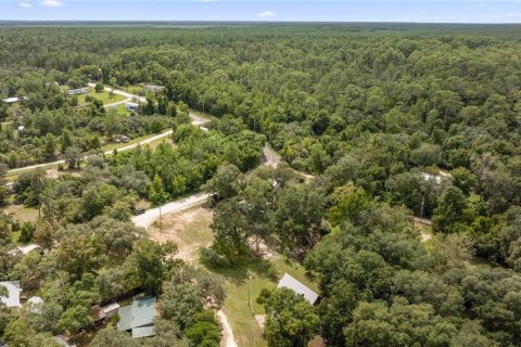 Land in Salt Springs, Florida № 1357664 - photo 10