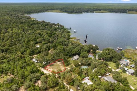 Terreno en venta en Salt Springs, Florida № 1357664 - foto 1