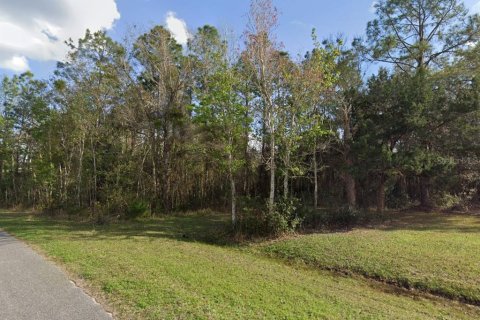 Land in Palatka, Florida № 1379739 - photo 1