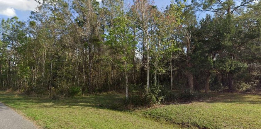 Land in Palatka, Florida № 1379739