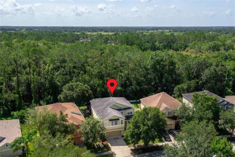 Villa ou maison à louer à Wesley Chapel, Floride: 5 chambres, 322.74 m2 № 1349202 - photo 29