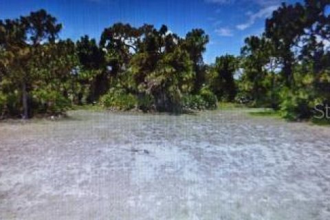 Land in Rotonda, Florida № 288337 - photo 1