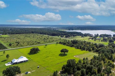 Terreno en venta en Umatilla, Florida № 1386625 - foto 6